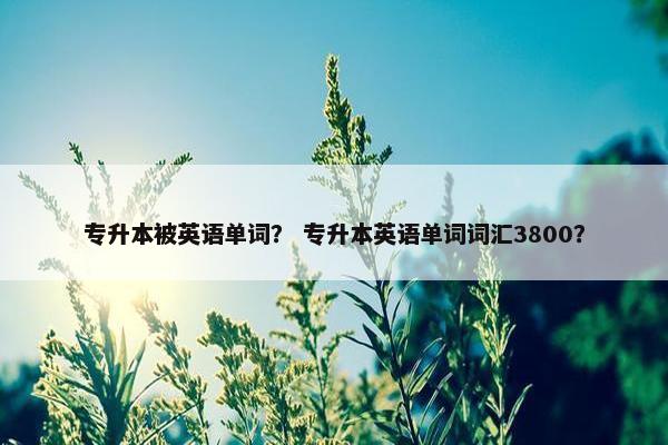 专升本被英语单词？ 专升本英语单词词汇3800？
