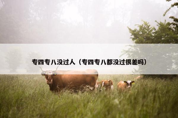 专四专八没过人（专四专八都没过很差吗）