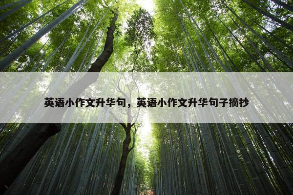 英语小作文升华句，英语小作文升华句子摘抄