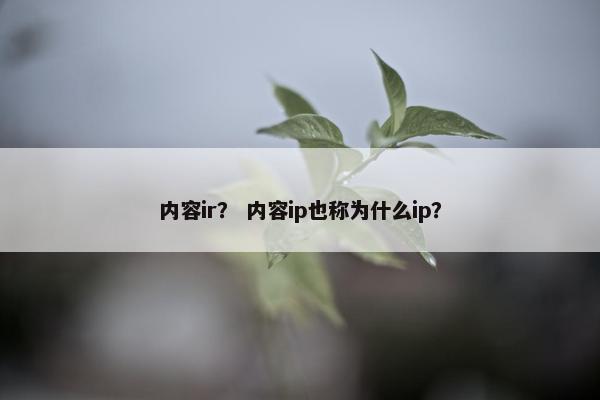 内容ir？ 内容ip也称为什么ip？