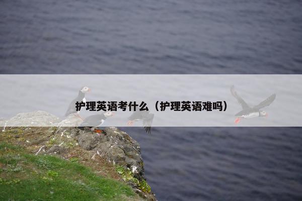 护理英语考什么（护理英语难吗）