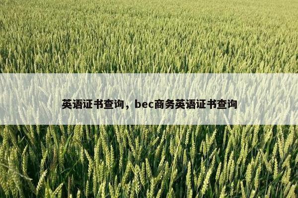 英语证书查询，bec商务英语证书查询