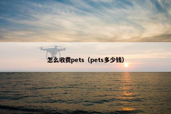 怎么收费pets（pets多少钱）