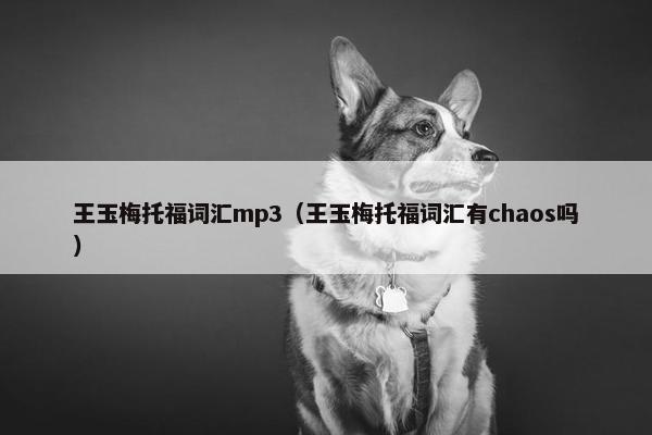 王玉梅托福词汇mp3（王玉梅托福词汇有chaos吗）
