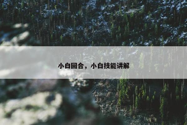 小白回合，小白技能讲解