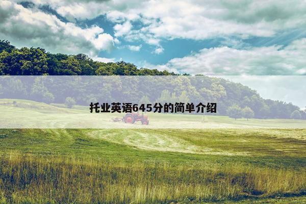 托业英语645分的简单介绍
