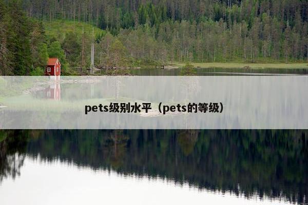 pets级别水平（pets的等级）