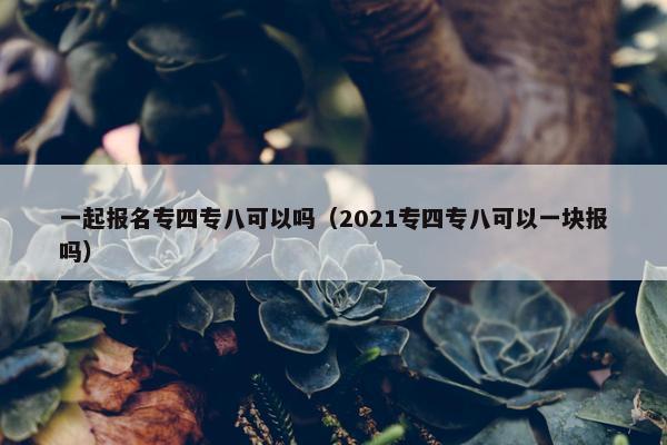 一起报名专四专八可以吗（2021专四专八可以一块报吗）