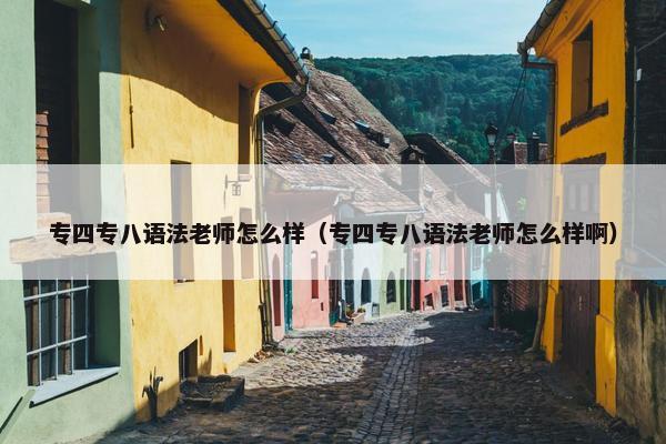 专四专八语法老师怎么样（专四专八语法老师怎么样啊）