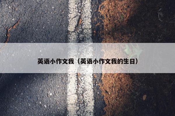 英语小作文我（英语小作文我的生日）
