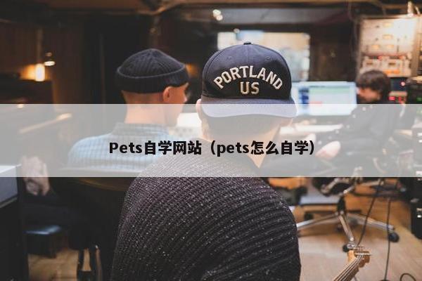 Pets自学网站（pets怎么自学）