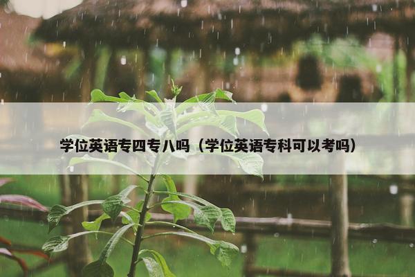 学位英语专四专八吗（学位英语专科可以考吗）
