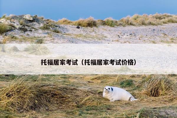 托福居家考试（托福居家考试价格）