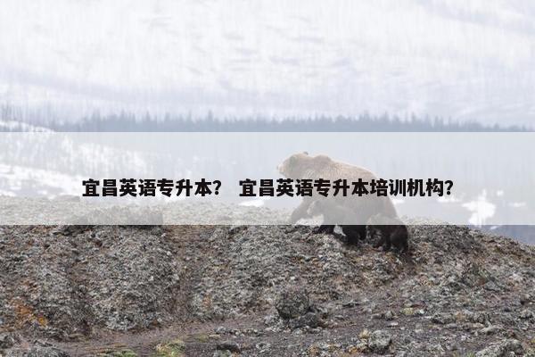 宜昌英语专升本？ 宜昌英语专升本培训机构？