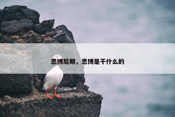 思博后期，思博是干什么的