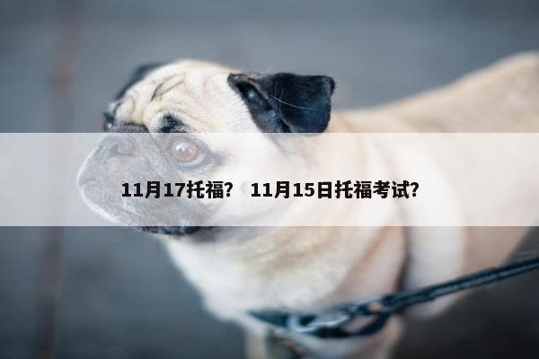 11月17托福？ 11月15日托福考试？