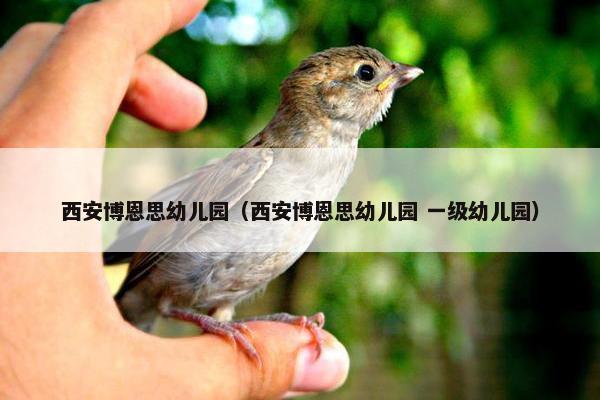 西安博恩思幼儿园（西安博恩思幼儿园 一级幼儿园）