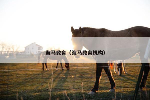 海马教育（海马教育机构）