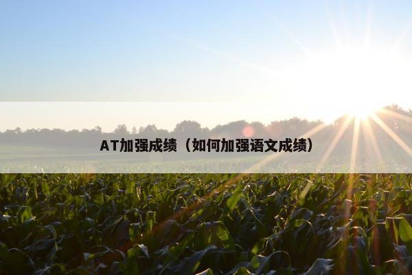 AT加强成绩（如何加强语文成绩）