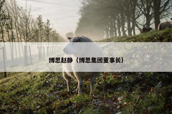 博思赵静（博思集团董事长）