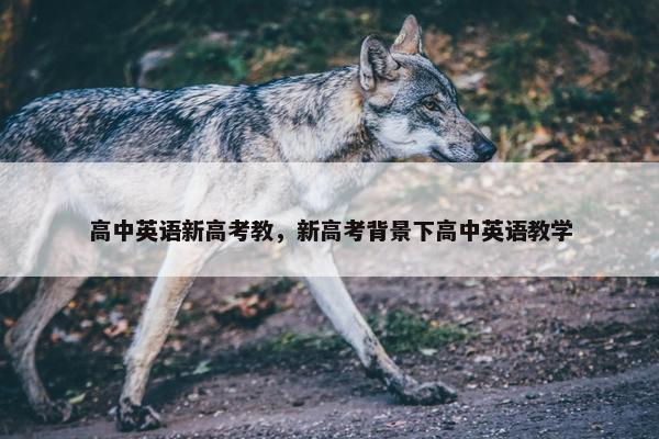 高中英语新高考教，新高考背景下高中英语教学