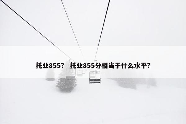 托业855？ 托业855分相当于什么水平？