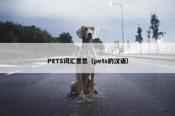 PETS词汇意思（pets的汉语）
