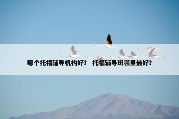 哪个托福辅导机构好？ 托福辅导班哪里最好？