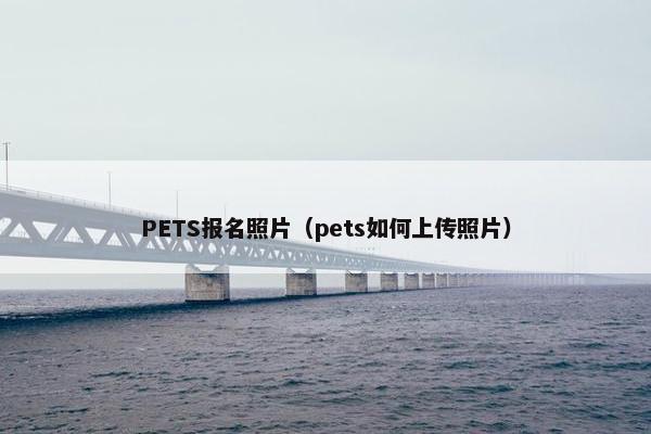 PETS报名照片（pets如何上传照片）