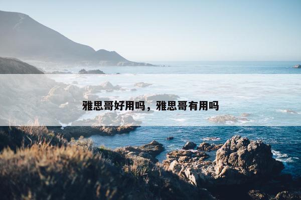 雅思哥好用吗，雅思哥有用吗