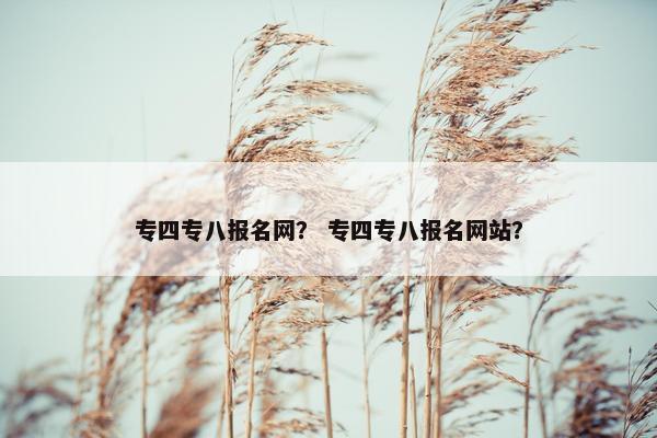 专四专八报名网？ 专四专八报名网站？