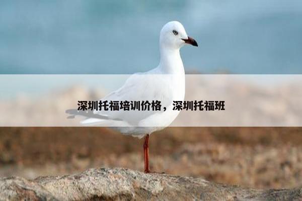 深圳托福培训价格，深圳托福班