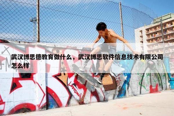 武汉博思德教育做什么，武汉博思软件信息技术有限公司怎么样