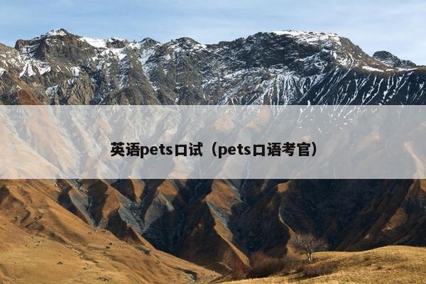 英语pets口试（pets口语考官）