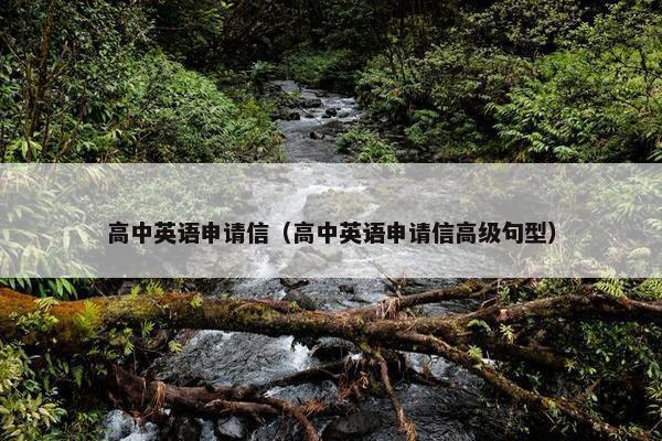 高中英语申请信（高中英语申请信高级句型）