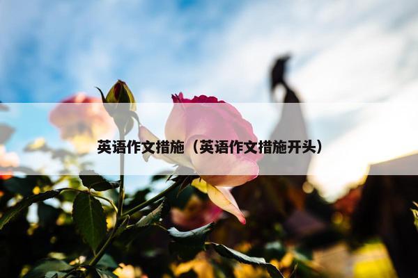 英语作文措施（英语作文措施开头）