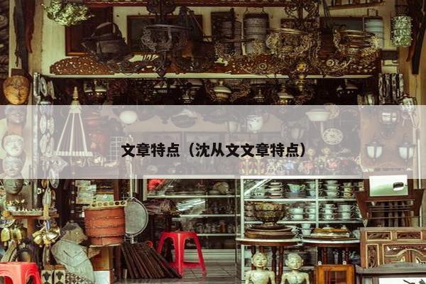 文章特点（沈从文文章特点）