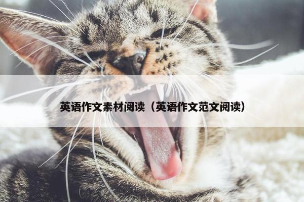 英语作文素材阅读（英语作文范文阅读）