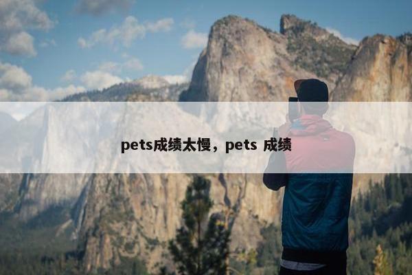 pets成绩太慢，pets 成绩