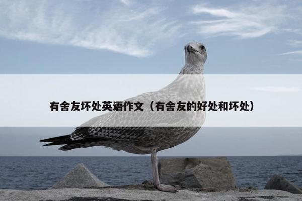 有舍友坏处英语作文（有舍友的好处和坏处）