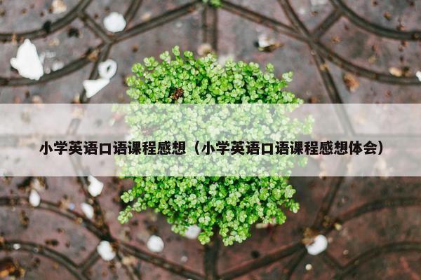 小学英语口语课程感想（小学英语口语课程感想体会）