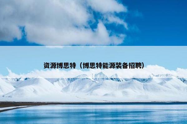 资源博思特（博思特能源装备招聘）