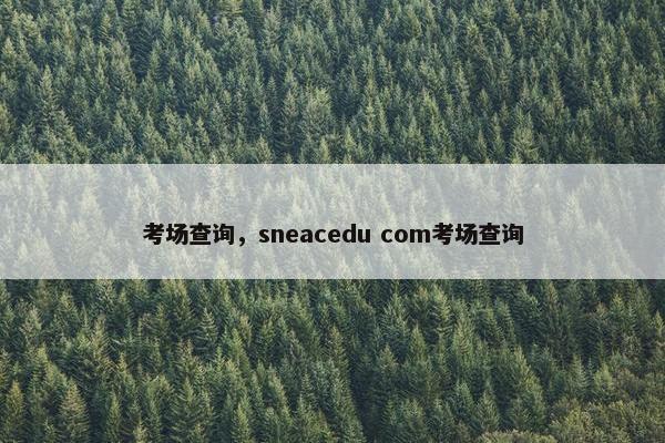 考场查询，sneacedu com考场查询