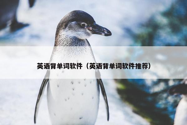 英语背单词软件（英语背单词软件推荐）