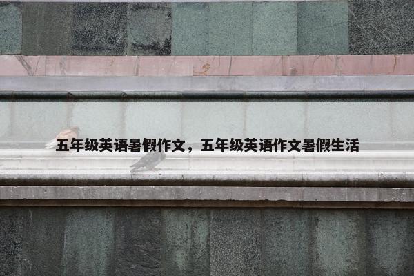 五年级英语暑假作文，五年级英语作文暑假生活