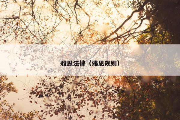 雅思法律（雅思规则）