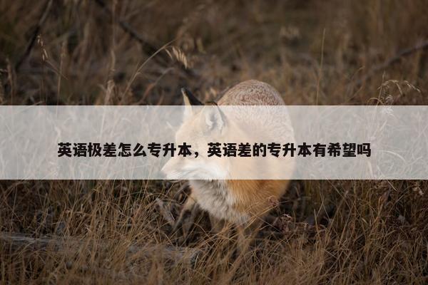 英语极差怎么专升本，英语差的专升本有希望吗