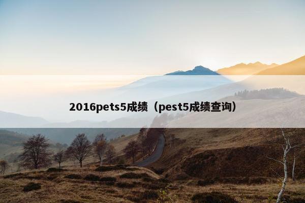 2016pets5成绩（pest5成绩查询）