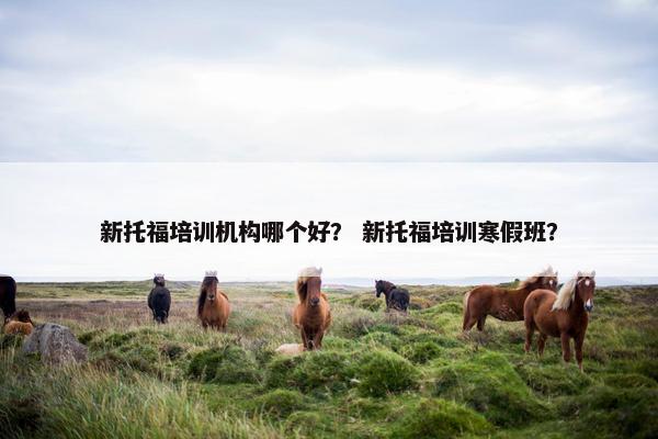 新托福培训机构哪个好？ 新托福培训寒假班？