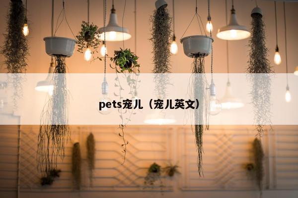 pets宠儿（宠儿英文）
